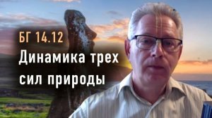 01.07.2026 Динамика трех сил природы - Е.М. Враджендра Кумар прабху (Тушкин Василий Рюрикович)