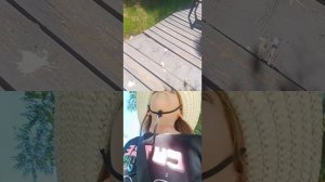 Фисташка 😋