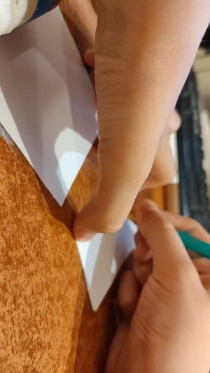 Бумажные коты воители 2 часть