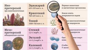 Вся история Земли за 26 минут - СЕРЖАН