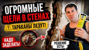 Откуда в квартирах тараканы! Ремонт квартиры своими руками (часть 3)