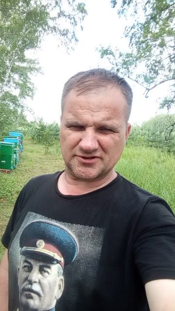 Медосбор с лесного разнотравья