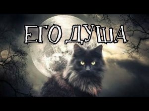 ЧТО ХОЧЕТ СКАЗАТЬ ДУША 🙏УМЕРШЕГО ПИТОМЦА?...