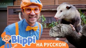 Изучаем удивительных животных с Блиппи _ Обучающие видео для детей _ Blippi Russian