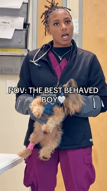 Dogs are afraid doctors #dog #funnydog #foryou #f(1)