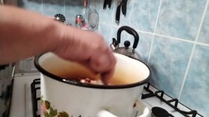Испекла кекс,приготовила закуску вкусную,подкормила в теплице всё.