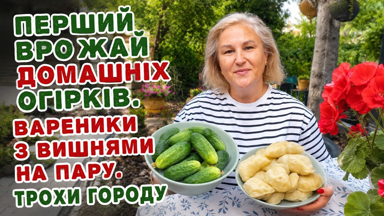 ПЕРШІ ДОМАШНІ ОГІРКИ🥒ПРИВІТ З ДАЧІ❤️ВАРЕНИКИ З ВИШНЯМИ🍒#вапеникизвишняминапару#огірки#город#дача#сад смотреть онлайн