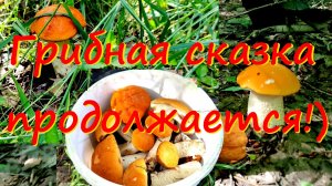 Вторая часть одного дня! Грибная сказка продолжается!!!