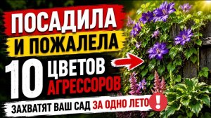 Посадила и пожалела: 10 цветов - агрессоров которые захватят ваш сад за одно лето