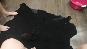грустняк впервые гуляет