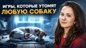 ЭТИ ИГРЫ ЗАМЕНЯТ 2 ЧАСА ПРОГУЛКИ | как кинологи на самом деле развивают собак