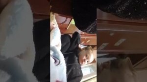 вечер с реборном  Евой