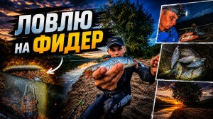 ПРОВЕРКА КЛЁВА ЛЕЩА ! Рыбалка на фидер .