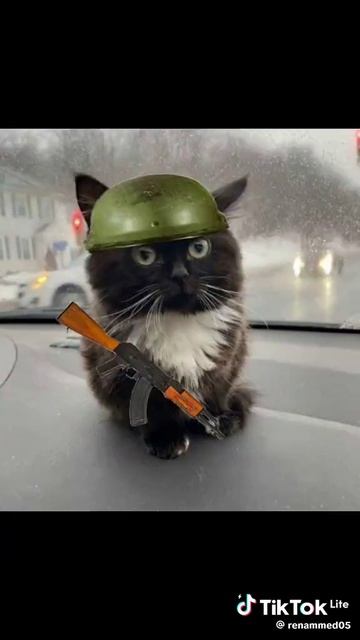 чмоня смотреть онлайн