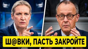 Вайдель Рубит ПРАВДУ МАТКУ про Россию, Украину и Мерца