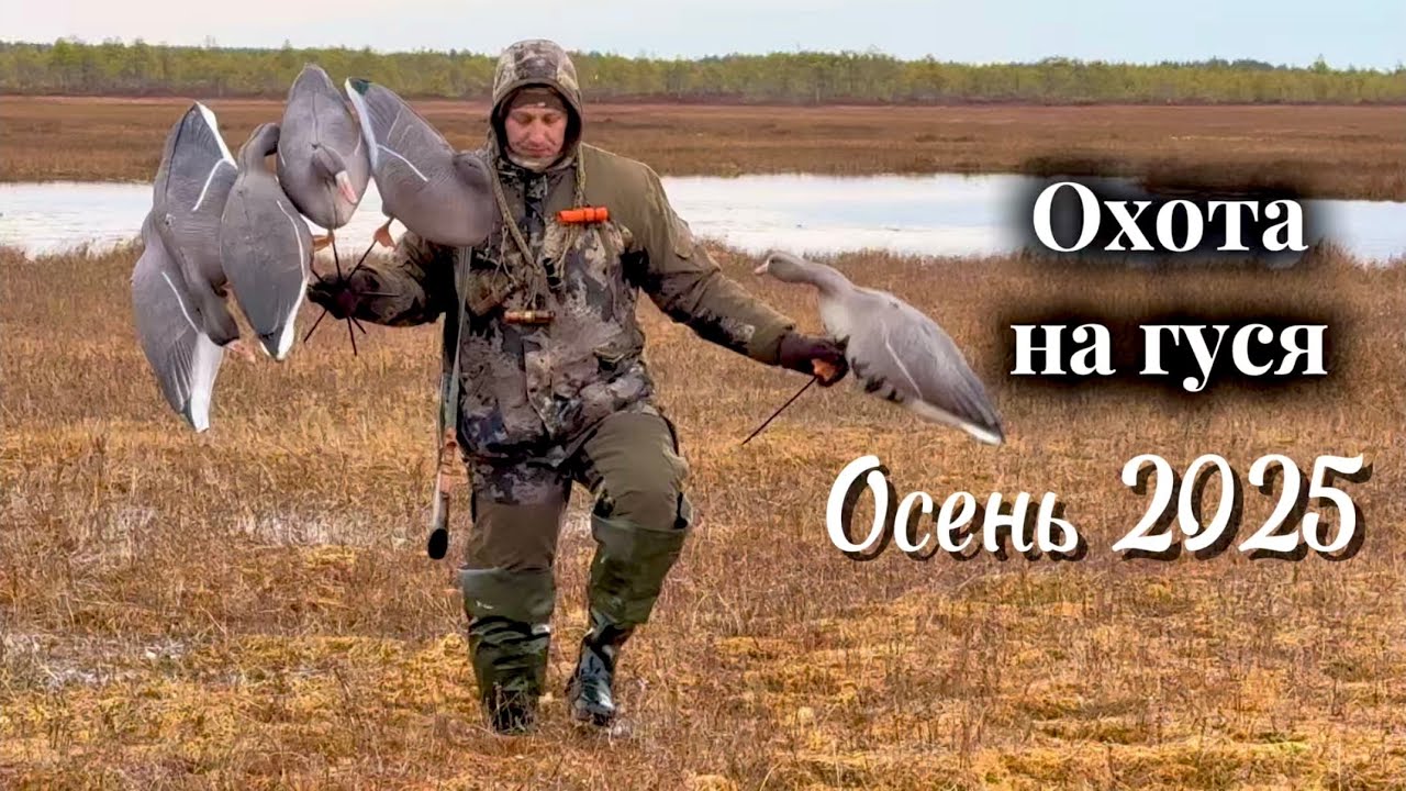 Охота на ВОДОПЛАВАЮЩИХ в Республике Коми, 2-й заезд. Операция «ШУЛЮМ»! Маним ГУСЯ на «ГУСЯНКУ»! смотреть онлайн