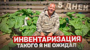 Жизнь на грани жары: Как выживает ферма в июле?