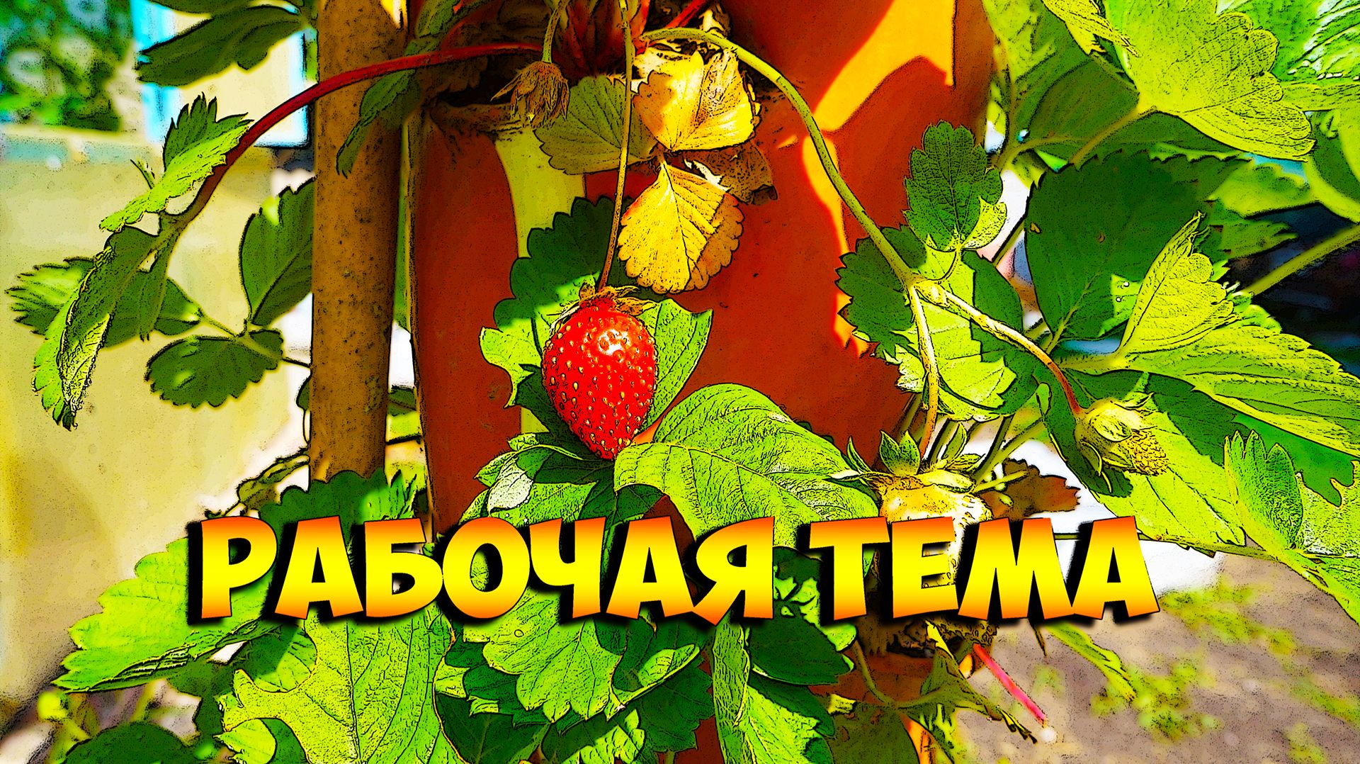 Вертикальная грядка работает! смотреть онлайн