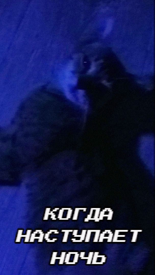 Когда наступает ночь (клип)