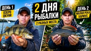 СНАЧАЛА ОКУНИ, ПОТОМ ТРОФЕЙНЫЙ ХАРИУС! Два дня на рыбалке