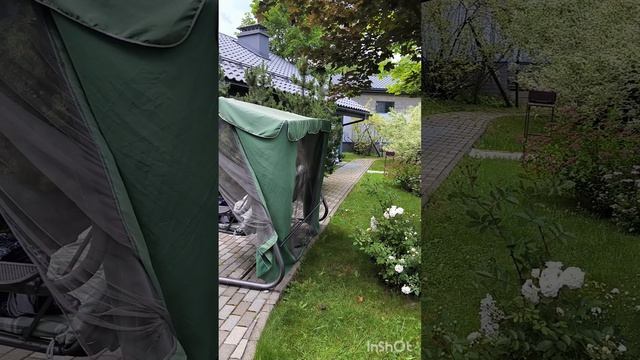 Печально смотреть на гибнущие деревья . Толи это жадность так проявляется, толи безграмотность. смотреть онлайн