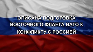 Описана подготовка восточного фланга НАТО к конфликту с Россией
