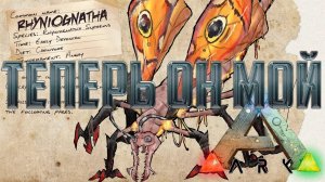 ARK Survival Evolved Lost Island | RHYNIOGNATHA