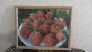 Картины из фотографий