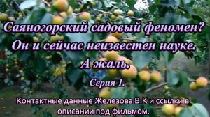 Саяногорский садовый феномен. Он и сейчас неизвестен науке. А жаль. Серия 1.