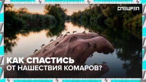 КОМАРЫ: какие вирусы переносят | Укус комара: чем мазать | Спецреп