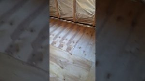 1000063420.mp4 (Собака смотрит на метал. уголки для устройства вытяжной вентиляции в доме А-фрейм)