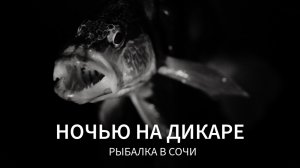 Ночью на дикаре. Рыбалка в Сочи в разгар лета.