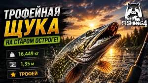 Трофейная щука на Старом Остроге! Рабочая точка и приманка | RF4