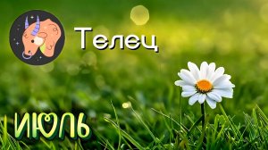 ТЕЛЬЦЫ. Рекомендации на Июль 2026