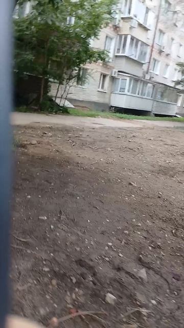 Берегитесь собаки_4 июля 2026 по Загородной 48 со стороны дороги в окне
