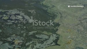 Днепр – река, которая вас удивит! Тайны и разнообразие жизни в великой реке. Что еще прячет Днепр?🐟💀