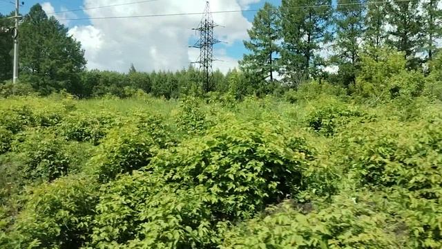 2. из окна поезда (7) смотреть онлайн