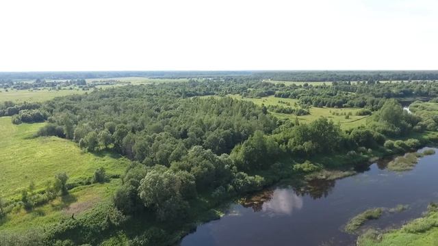 Участок 5,6 Га на берегу реки Ловать - первая линия - Компания Лучшие Земли смотреть онлайн