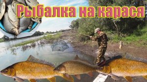 Рыбалка на карася _ Отличный клев 2026
