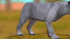 Wildcraft [ скайла ] 🐾 1 эпизод ( львëнок с крыльями) 🦁