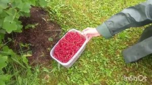 Отпуску конец. Последние денёчки. 4, 5 июля  2026г.