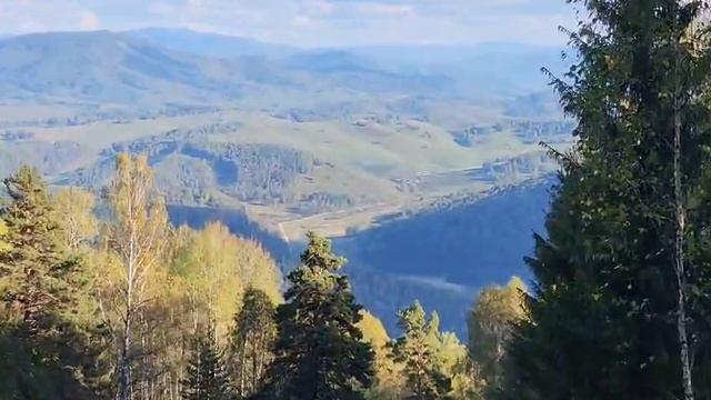 VID-20250905-WA0205 смотреть онлайн
