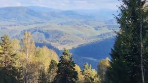 VID-20250905-WA0205