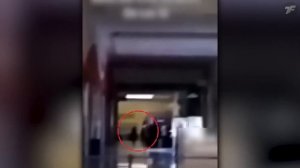Как ТАКОЕ ВОЗМОЖНО! Если Бы Эти Видео не Сняли на Камеру, Никто бы не Поверил