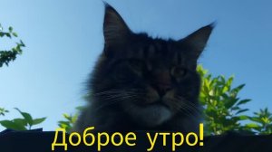 Сама кошу, сама чиню.
