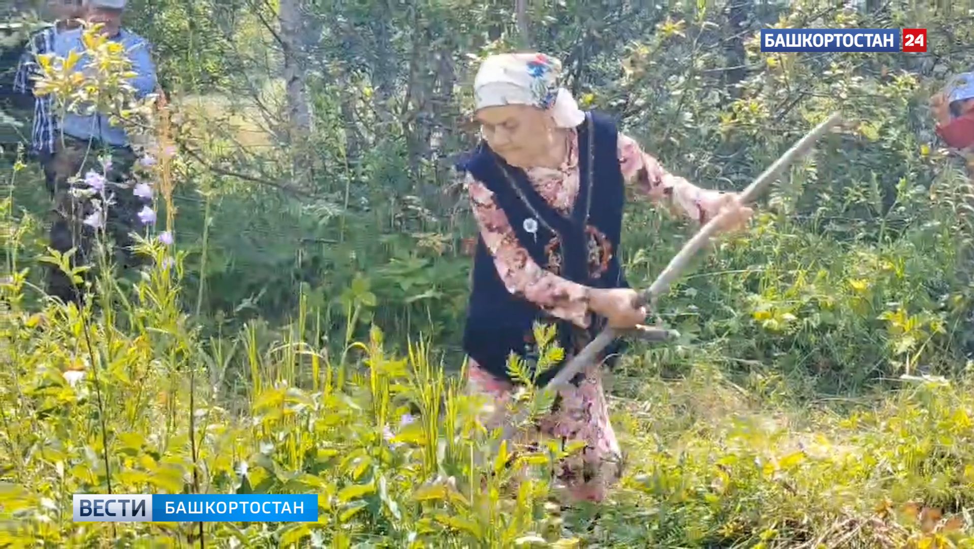 В Башкортостане в соревнованиях косарей приняла участие 91-летняя Шамсинур Кулгарина смотреть онлайн