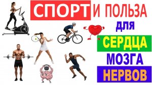 СПОРТ и его ПОЛЬЗА для сердца, мозга и нервной системы. Влияние тренировок по науке. #спорт #польза