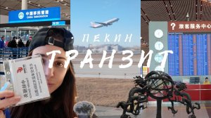 Мой первый ВЛОГ | лечу air china | транзит в Пекине | 2026 | БЕСПЛАТНЫЙ отель