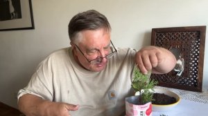 Саженцы бесплатно! И без обмана!