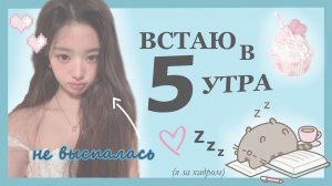 ВСТАЮ В 5 УТРА? / челлендж / 5 утра